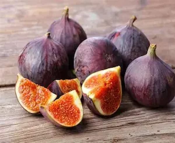 قیمت خرید انجیر دو رنگ با فروش عمده